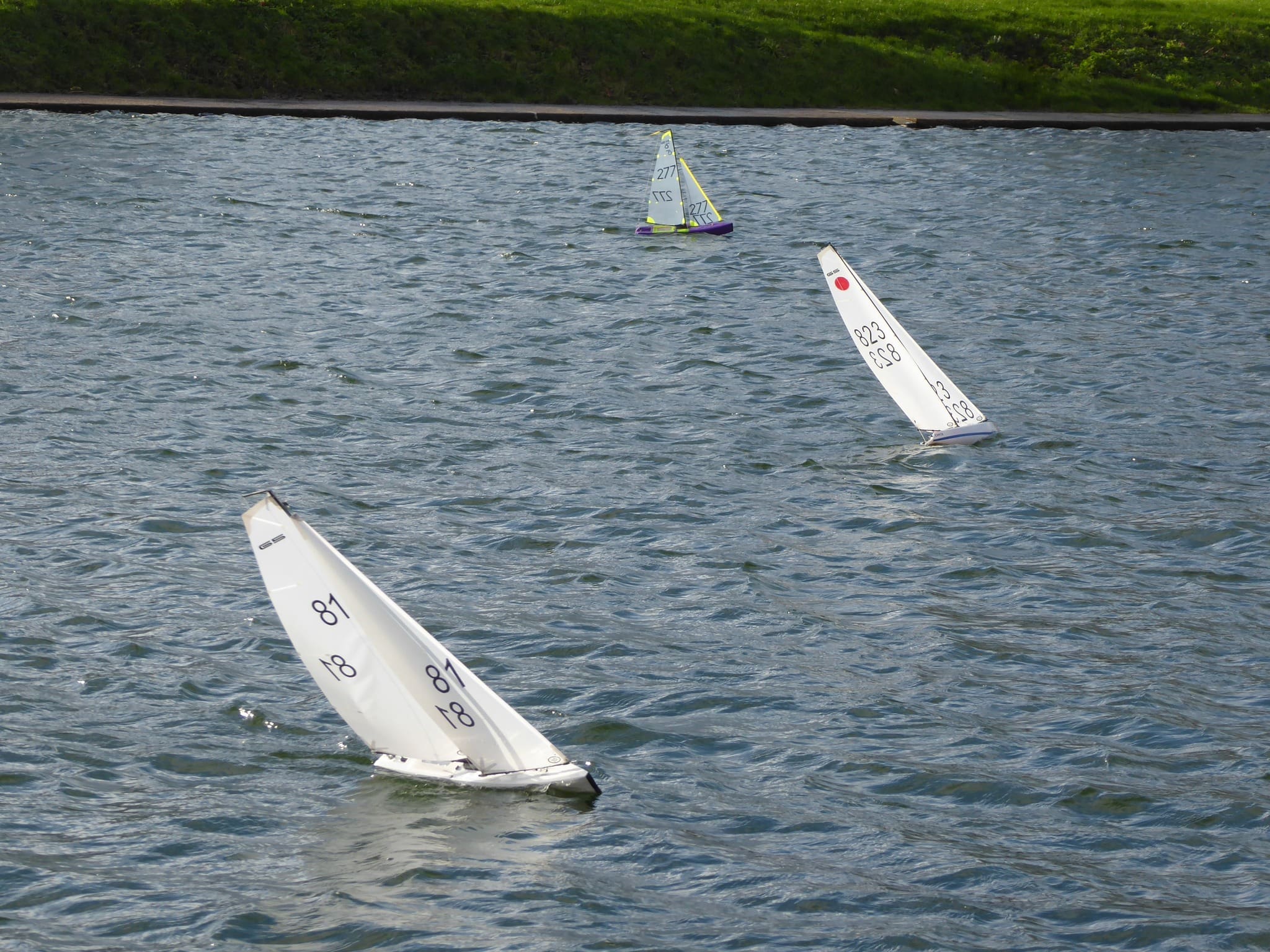 DF65’s in a Quandary A+, A or B Rig? – Gosport Model Yacht & Boat Club